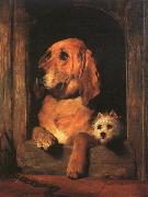 Sir Edwin Landseer Dignity and Impudence oil painting artist